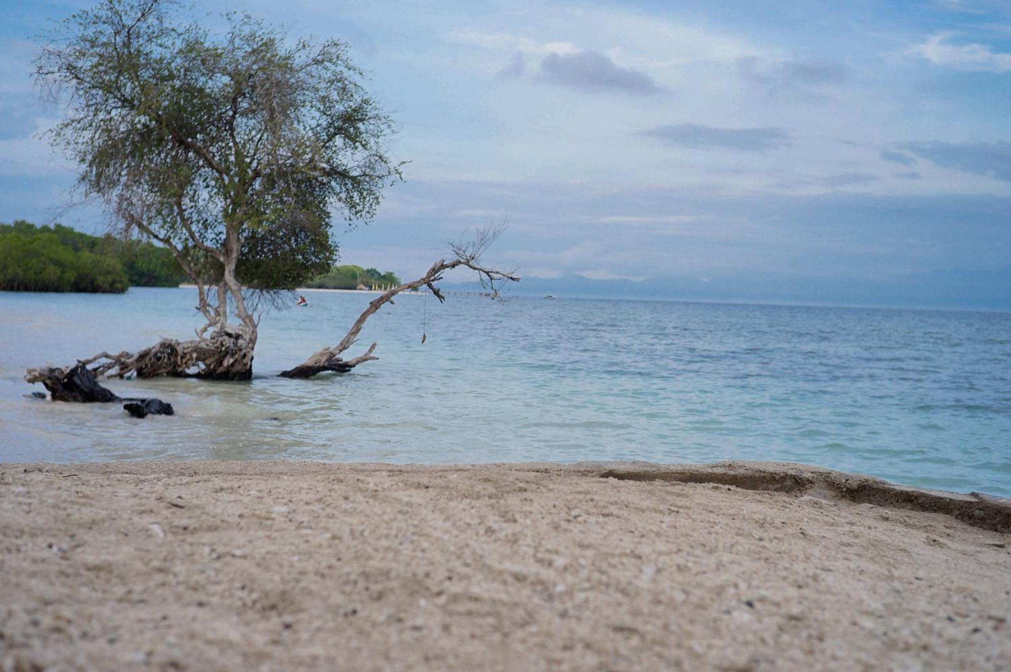 Yut'S Inn Flower Paradise Gili Gede Ngoại thất bức ảnh